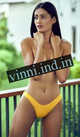 Udaipur Escort